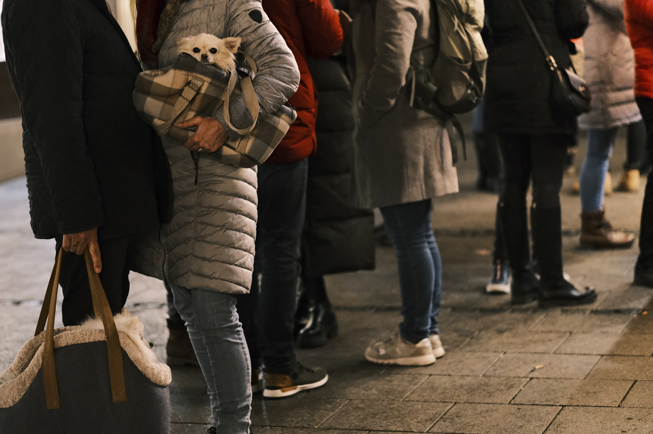 CompRas Пресс-релизы и новости