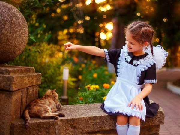 CompRas Пресс-релизы и новости