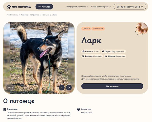 CompRas Пресс-релизы и новости