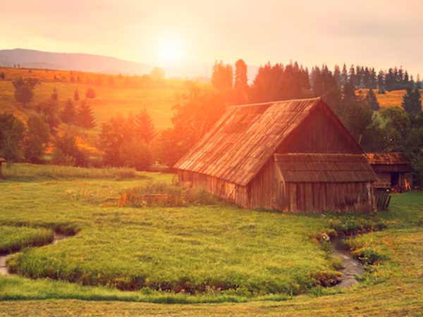 CompRas Пресс-релизы и новости
