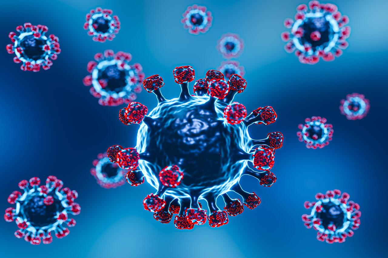 CompRas Пресс-релизы и новости