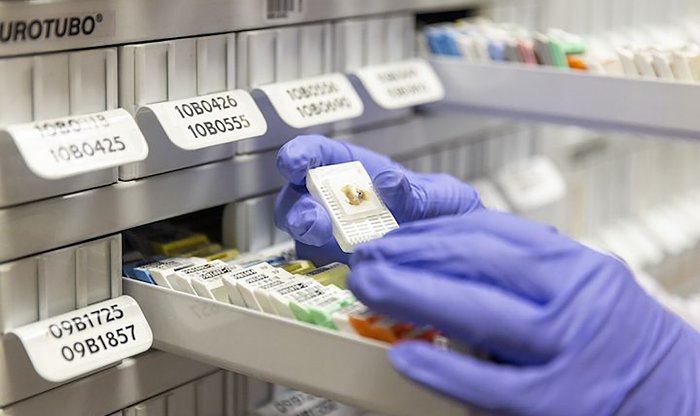 CompRas Пресс-релизы и новости