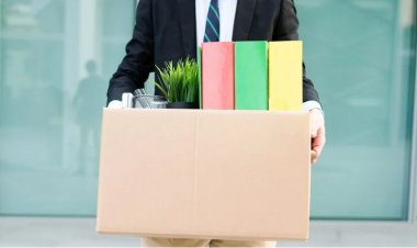 CompRas Пресс-релизы и новости